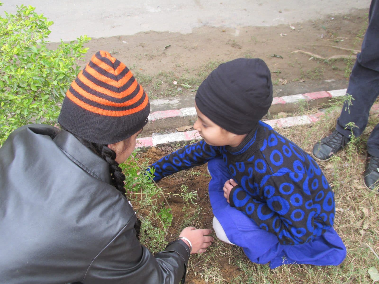 Aranya volunteers plant trees in the heart of Bareilly city, 21 December 2014