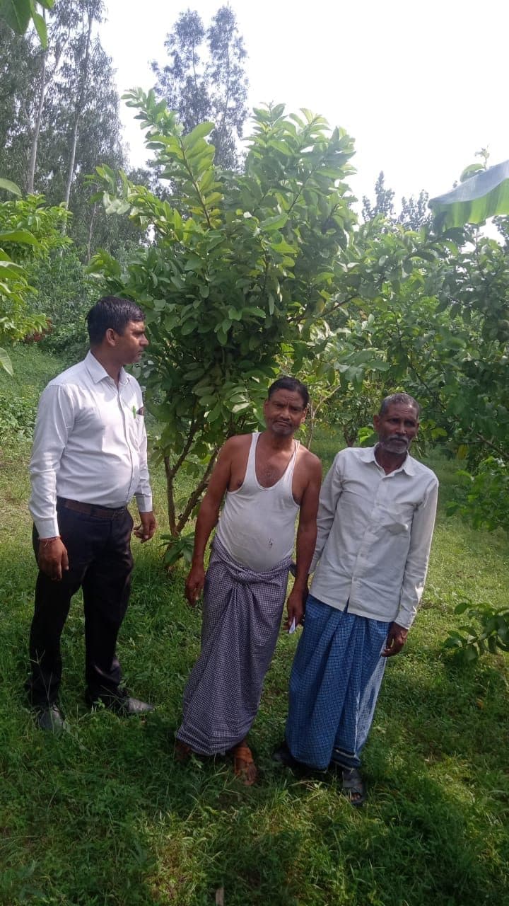 A Mohanpur farmer with guavas from the trees he received under the campaign, 2023