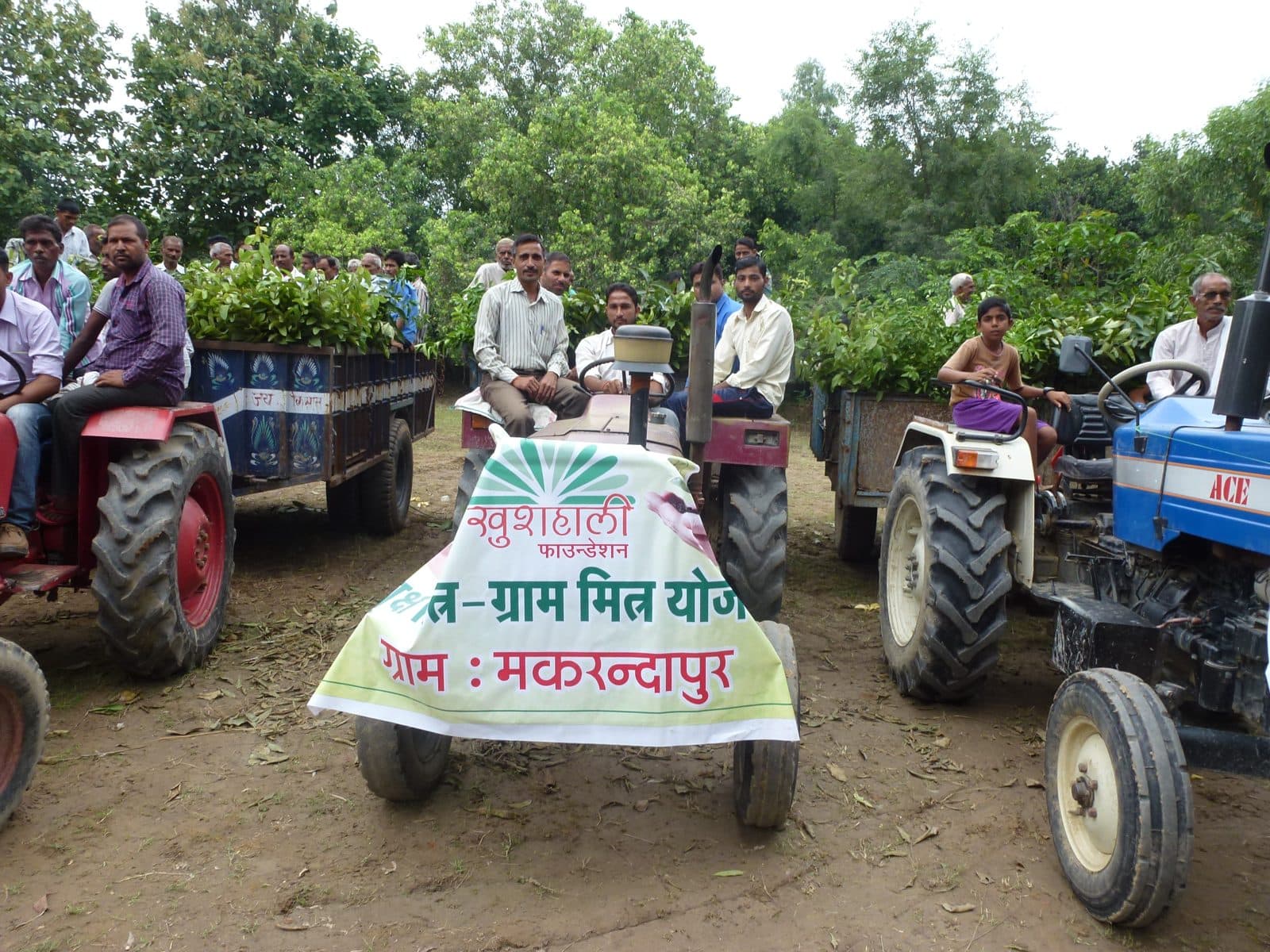 Tractors loaded with fruit saplings for the villages, August 2015