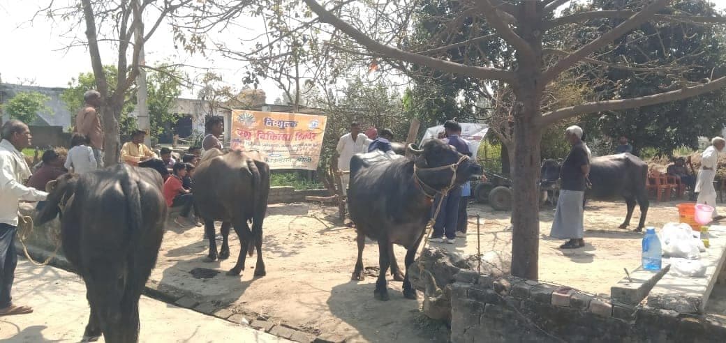 A free veterinary camp with IVRI doctors at Garem, March 2024