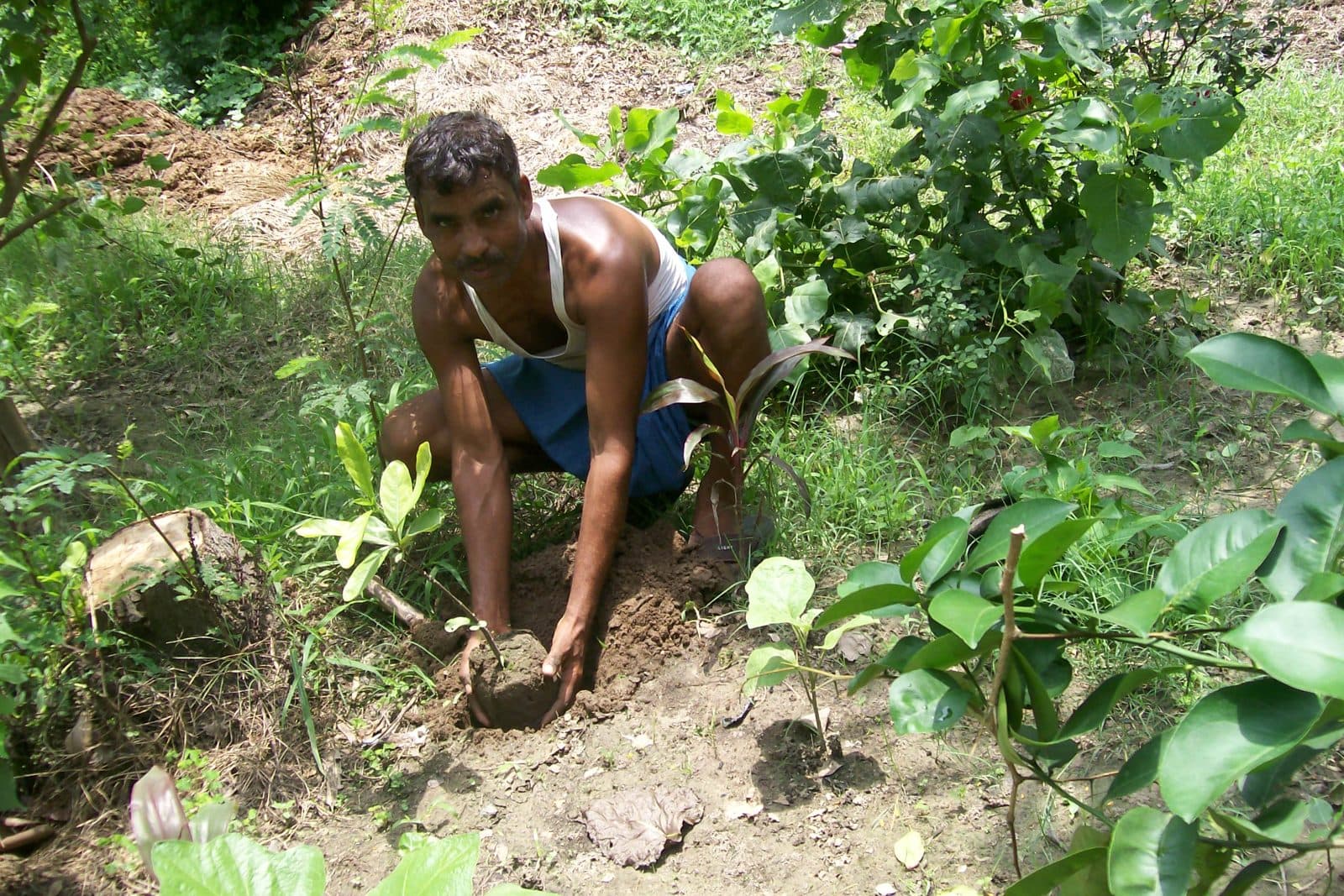 Volunteers and a farmer plant a sapling during the first Vriksh Mitra–Gram Mitra drive, 3 July 2011